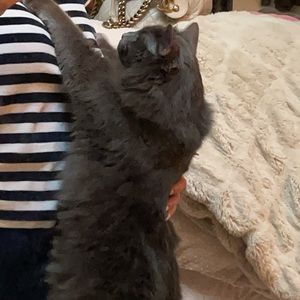 Meet your Posher, Krystal